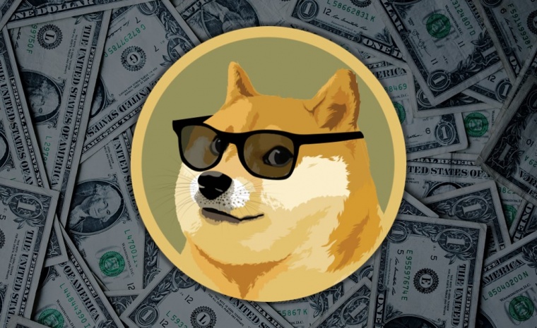 Doge coin rally