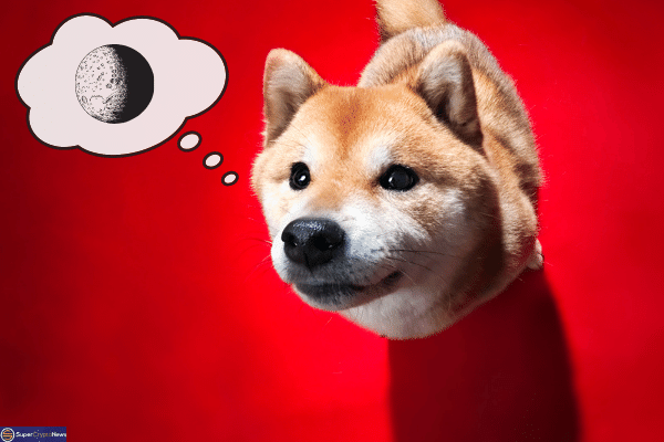 Doge moon