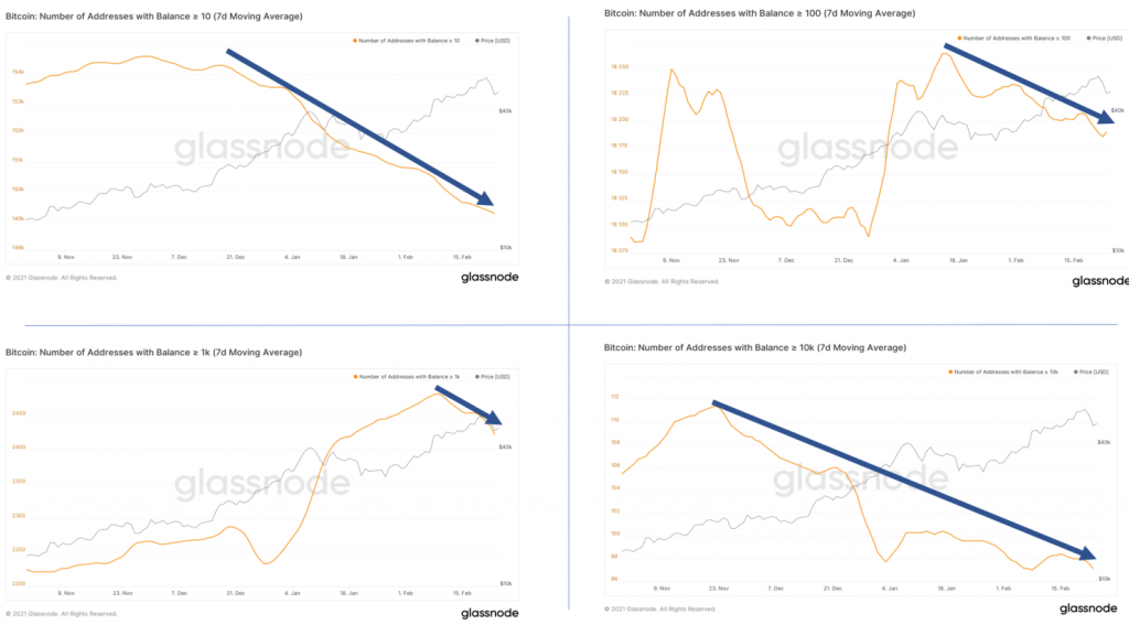 markhelfman_bitcoinbalances