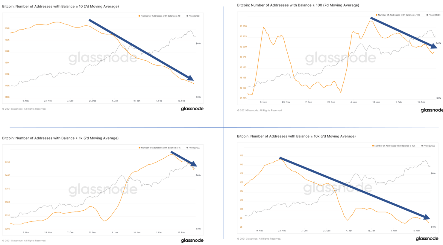 markhelfman_bitcoinbalances