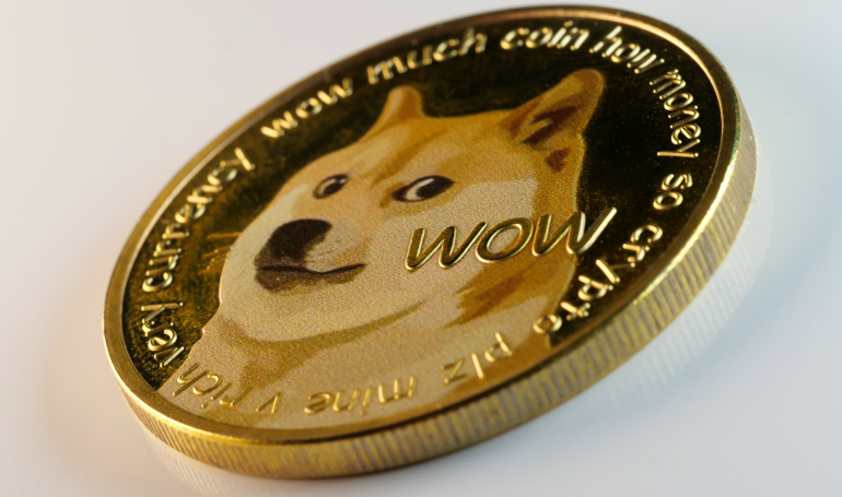 What If Dogecoin Skyrockets? Here’s How Much $100 in DOGE Could Be Worth