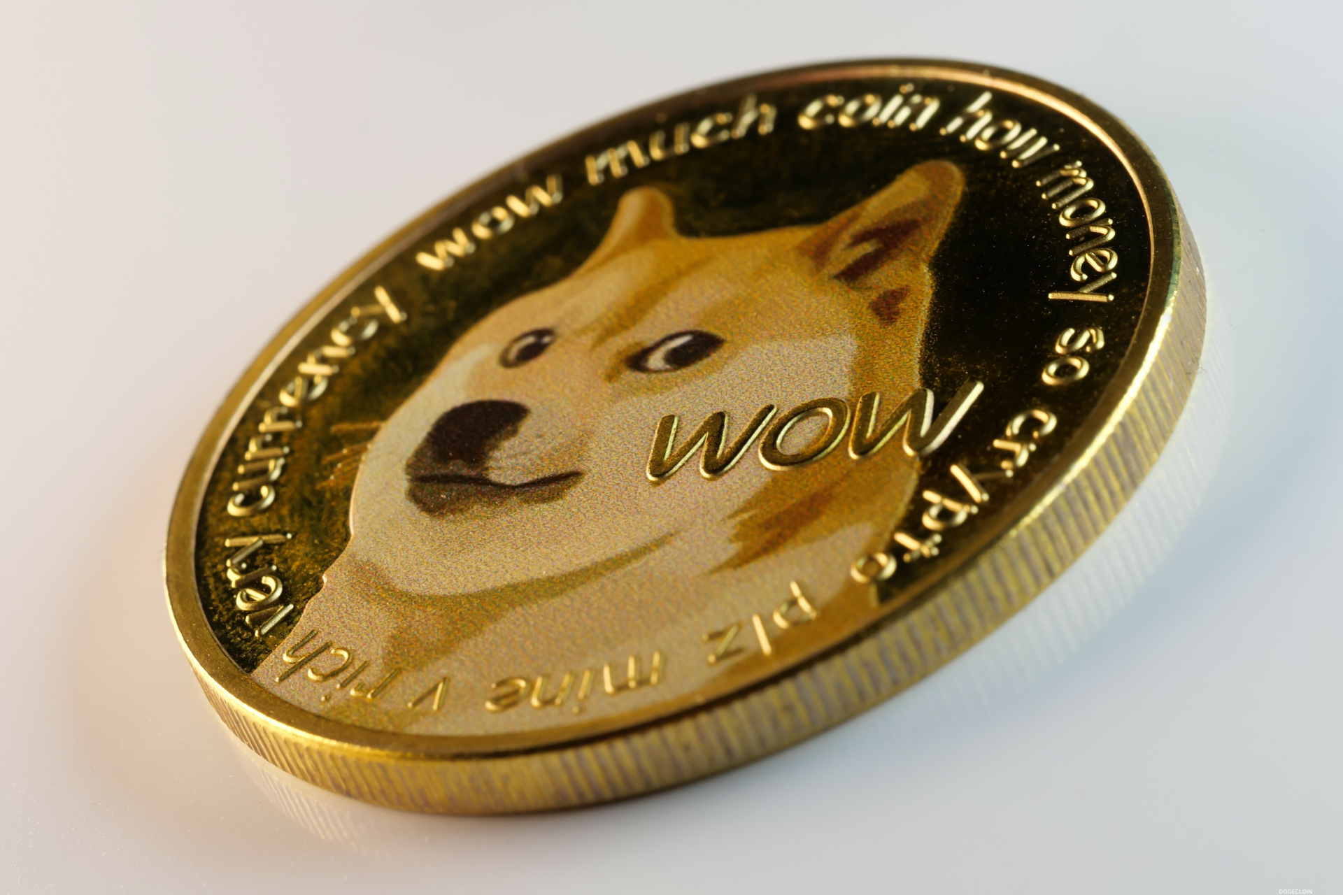 What If Dogecoin Skyrockets? Here’s How Much $100 in DOGE Could Be Worth